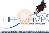 Ride the Wave of Success